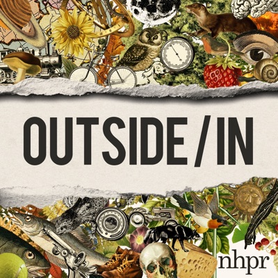 Outside/In Outside/In