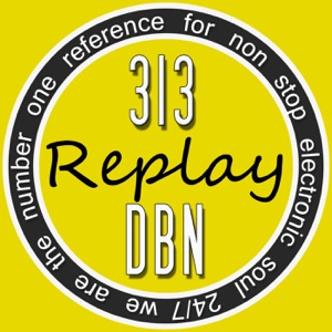 313 DBN Radio