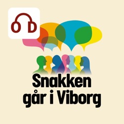 Snakken går i Viborg