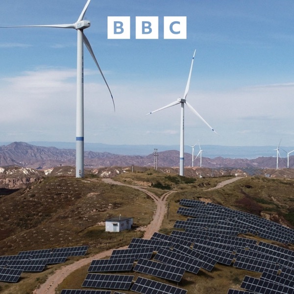 Climate boost as China's CO2 emissions fall