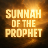 Lecture - Sunnah Of The Prophet (PBUH) | Mufti Menk Podcast