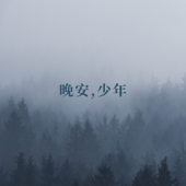 晚安,少年(入眠伴侣)