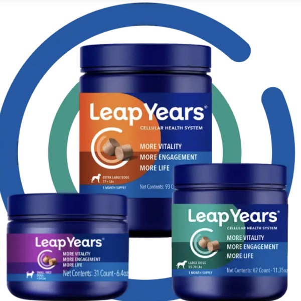 Re-Release: Leap Years, A Game-Changing, Anti-Aging Supplement for Dogs photo