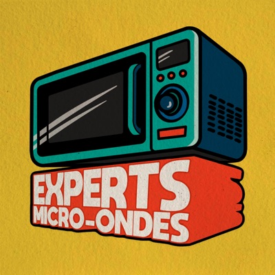 EXPERTS MICRO-ONDES EXPERTS MICRO-ONDES