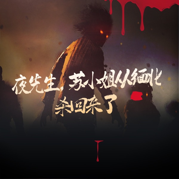 夜先生，苏小姐从缅北杀回来了丨多人有声剧