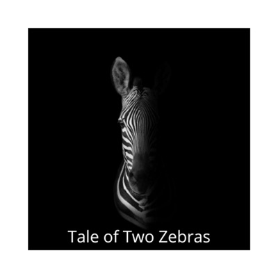 Tale of Two Zebras