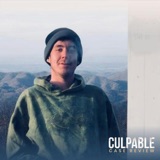 Case Review: Andrew Thomas Wall, Part 2