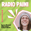 Radio Paini - Andrés González