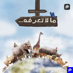 الجراد الفتاك