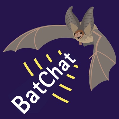 Bats in Churches with Barry Collins