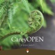 CareyOPEN