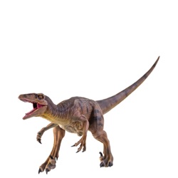 Dinolandia /Cuentos de dinosaurios