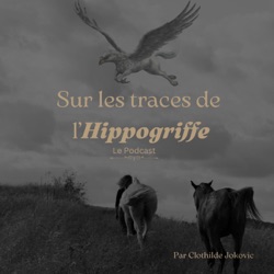 Episode 1. Tic Tac, le grand sage