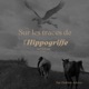 Episode 9. Cultiver un terreau de confiance entre femmes avec Andréanne Jutras
