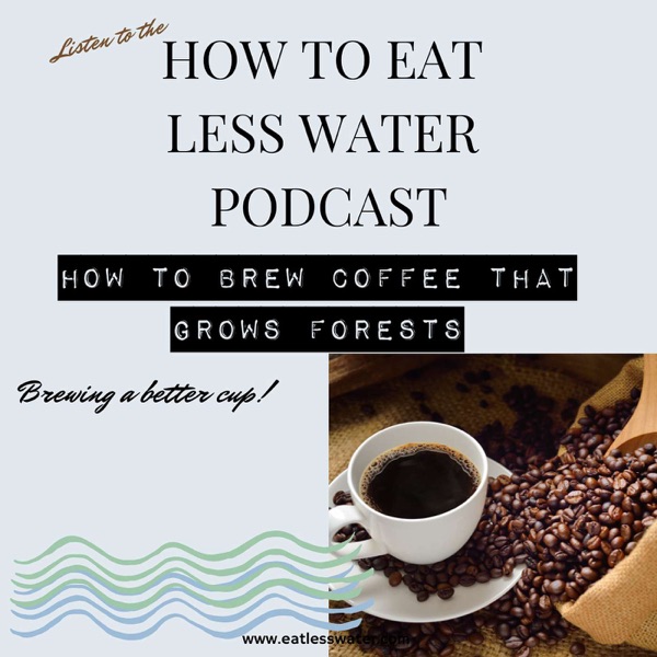 How to Brew Coffee that Grows Forests photo