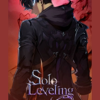 Solo Levelig - javier gomez ventocilla