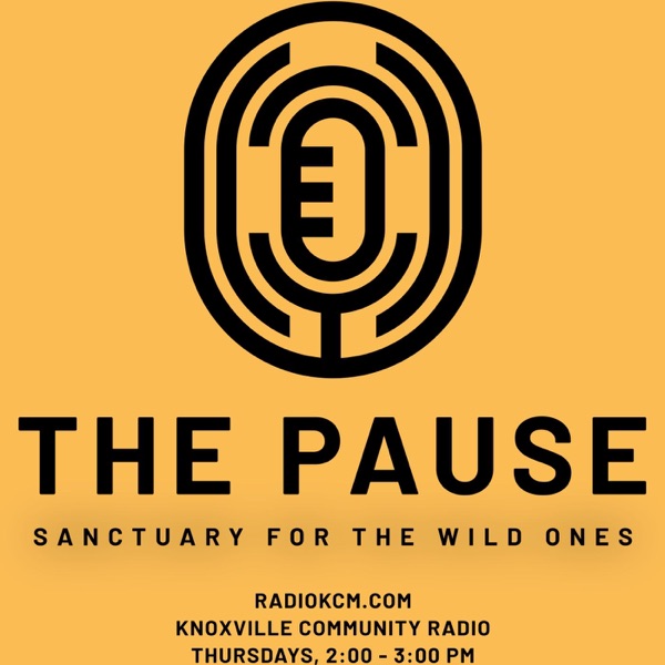 The PAUSE Image