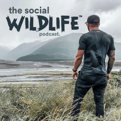 The Social Wildlife