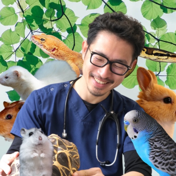 エキゾチックアニマルと暮らすペットライフラジオ~supported by まさの森・動物病院~