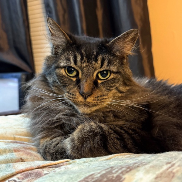 Kitty’s Thoughts On…