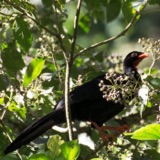 El Triunfo Cloud Forest Reserve