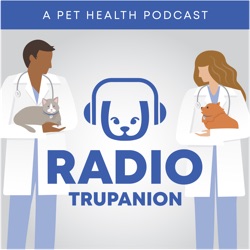 Understanding Emergency and Urgent Care for Pets with Dr. Natalie Marks