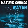 Nature Sounds - Water