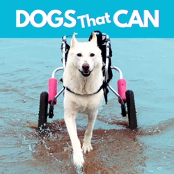 Dogs That Can!