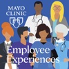 Mayo Clinic Employee Experiences