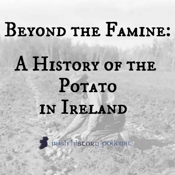 Beyond the Famine: A History of the Potato in Ireland photo