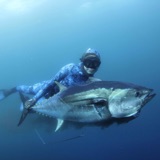 Spearfishing for Dinner: Grilled Fish, Pine Needle Mussels and Pickled Fish Eyes