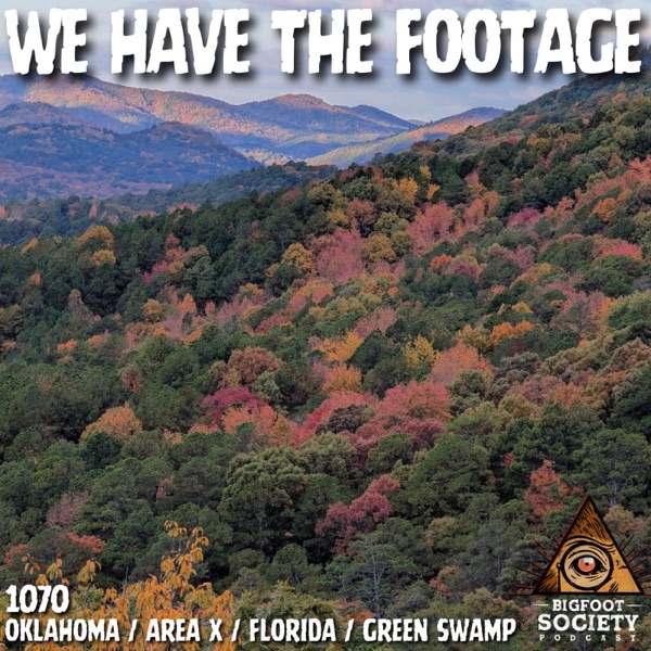 A NAWAC Researcher Shares New Encounters And Activity From Area X photo