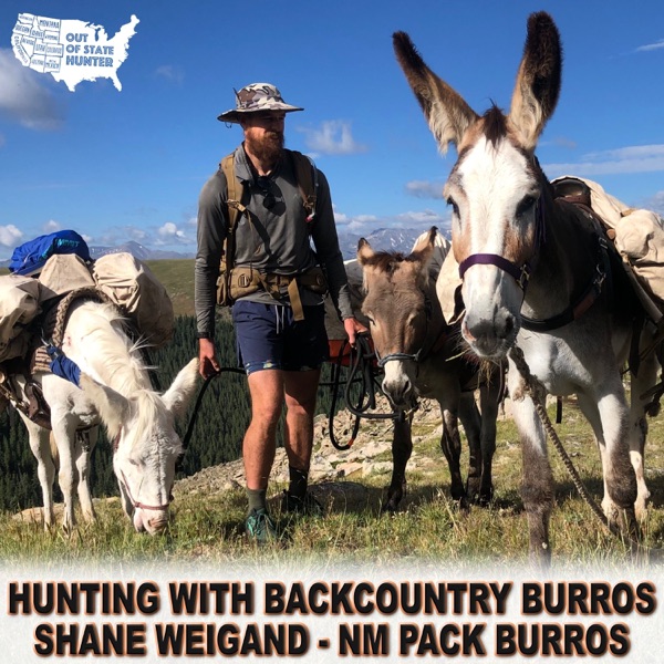 Burros: The Ultimate Backcountry Pack Animal – Shane Weigand photo