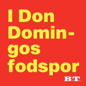 I Don Domingos fodspor