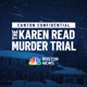 Day 17 | ATF agent Brian Higgins spends hours on witness stand