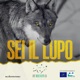 Ep. 5 | Una nuova vita insieme