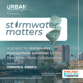 Stormwater Matters