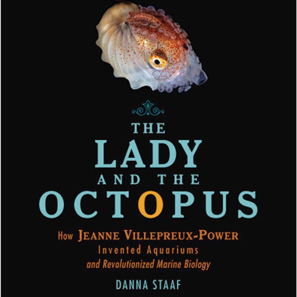 The Lady and the Octopus | Middle Grade Nonfiction from Danna Staaf photo