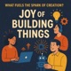 Joy of building things 