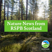 Nature News from RSPB Scotland