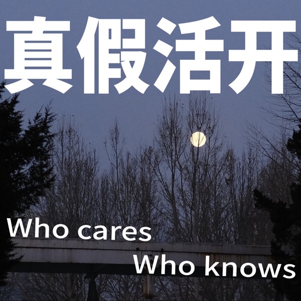 真假活开