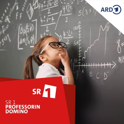 Professorin Domino Professorin Domino