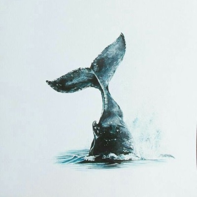 Música para Ballenas Música para Ballenas