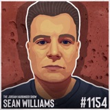 1154: Sean Williams | The North Korea-China-Drug Cartel Connection