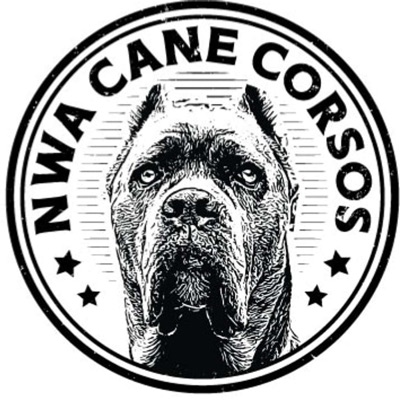 NWA Cane Corsos Podcast- An All Breed Podcast