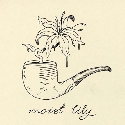 Moist Lily