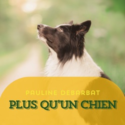 Plus Qu'Un Chien