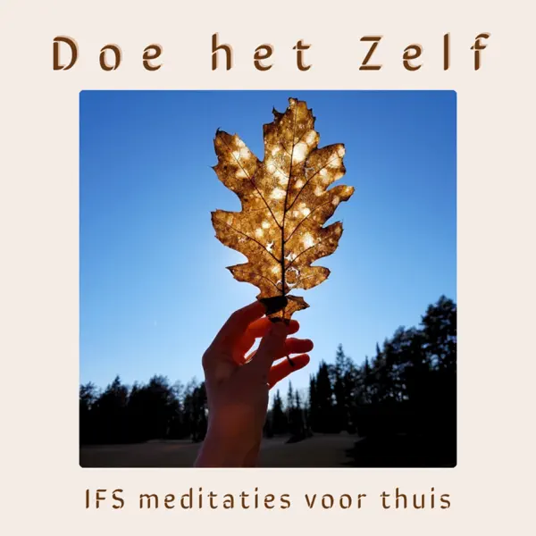 Doe het Zelf - IFS meditaties voor thuis