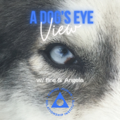 A Dog's Eye View