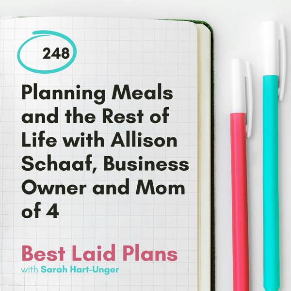 Planning Meals and the Rest of Life with Allison Schaaf, Business Owner and Mother of 4 photo